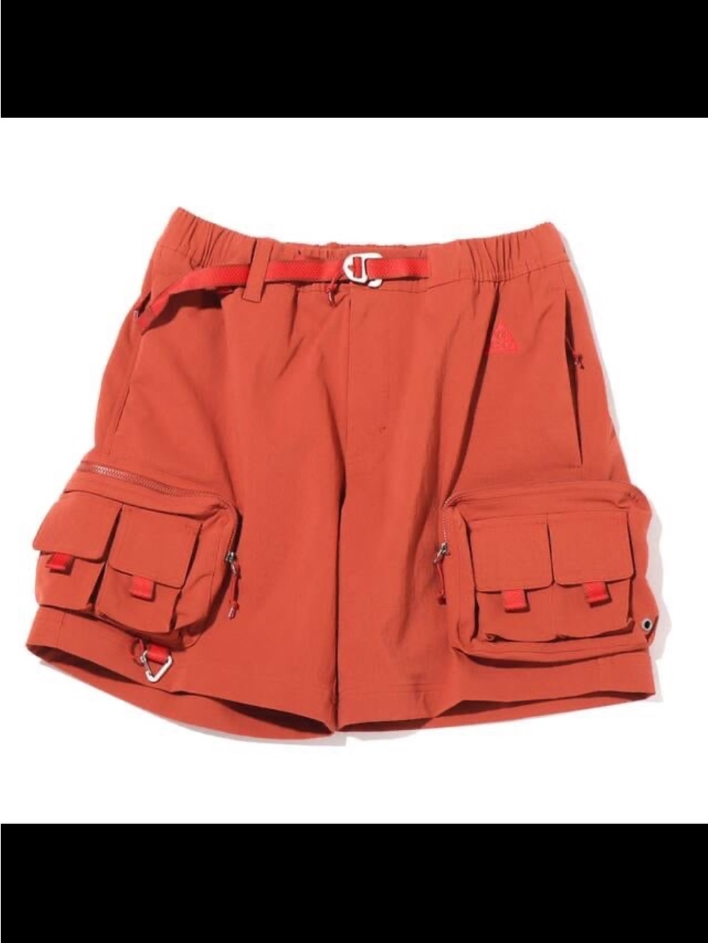 Nike ACG Cargo Shorts